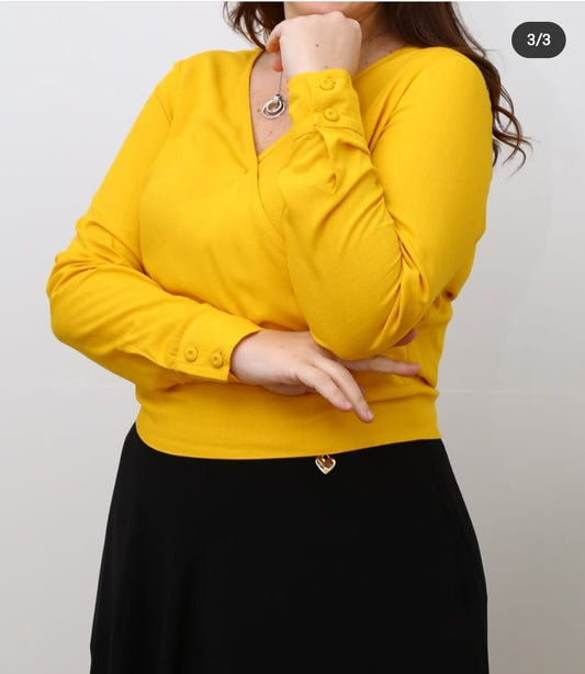 5215 Blusa Cropped Transpassada